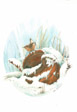 Winter wren